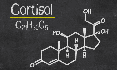 Wat is cortisol